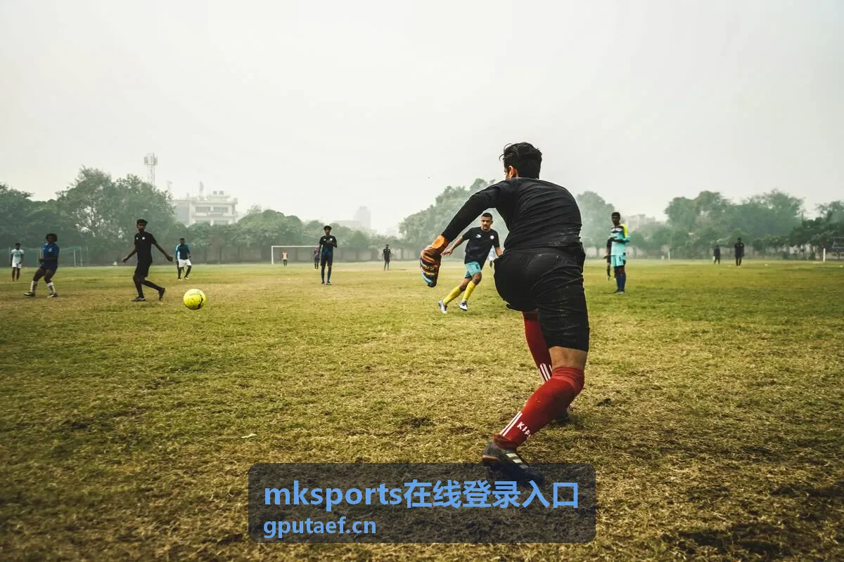 电脑端mksports在线登录入口页面核对场景